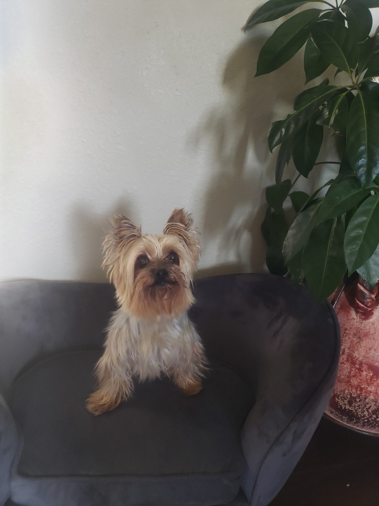 High Prairie Veterinary Services Gallery Vet Clinic In Colstrip