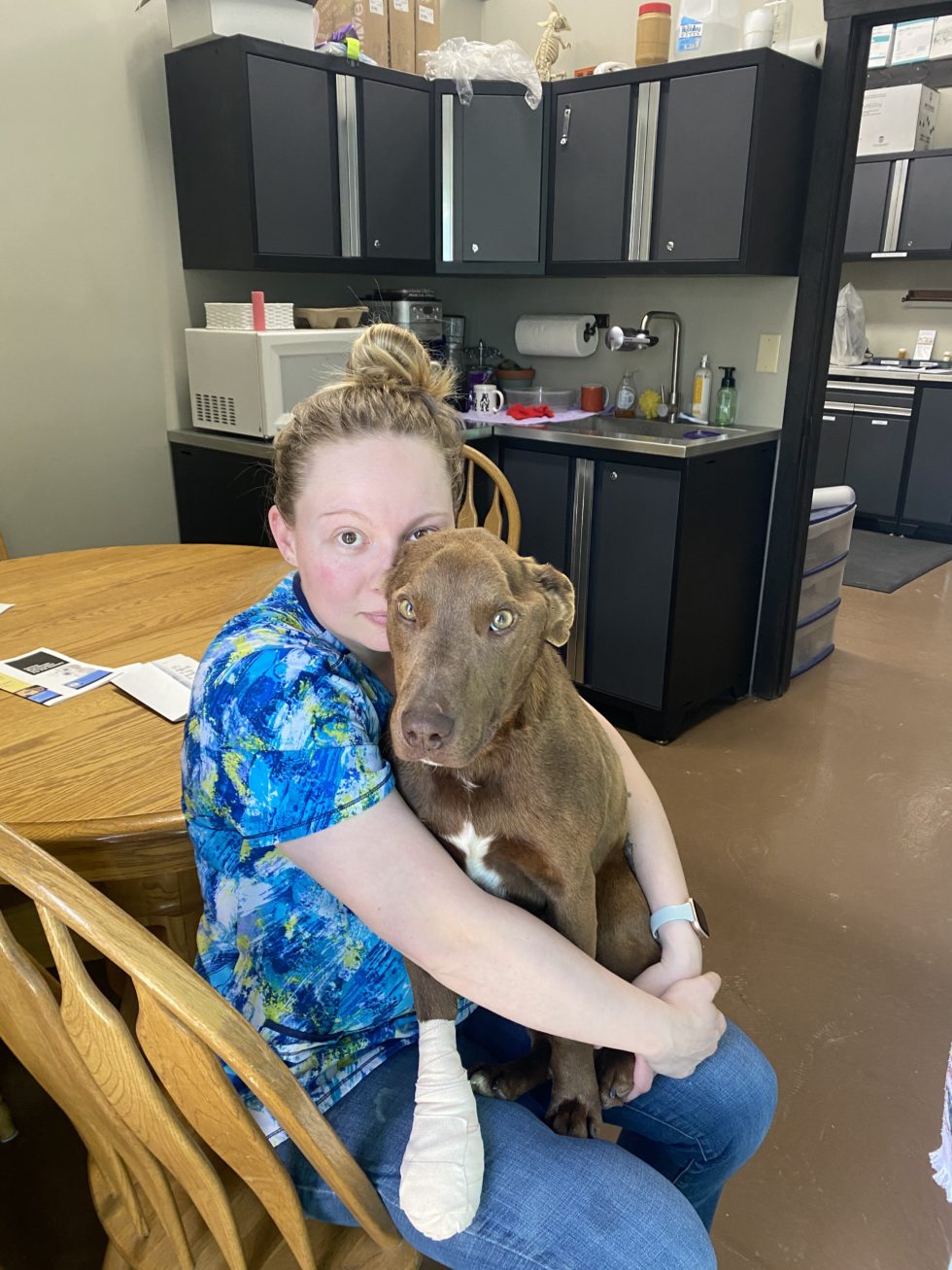 High Prairie Veterinary Services Gallery Vet Clinic In Colstrip